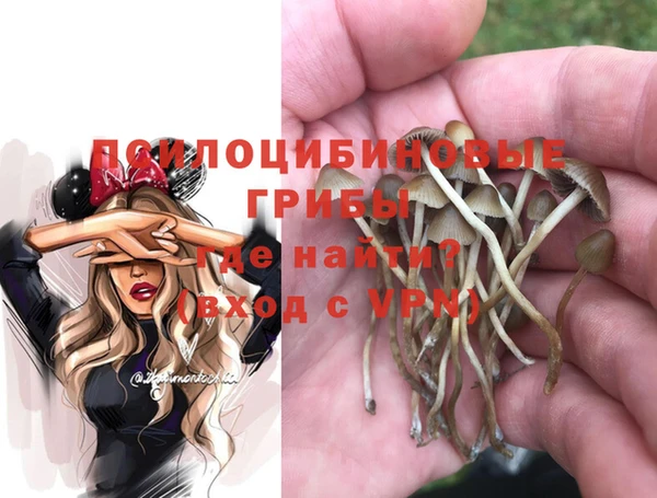 эйфоретик Абаза