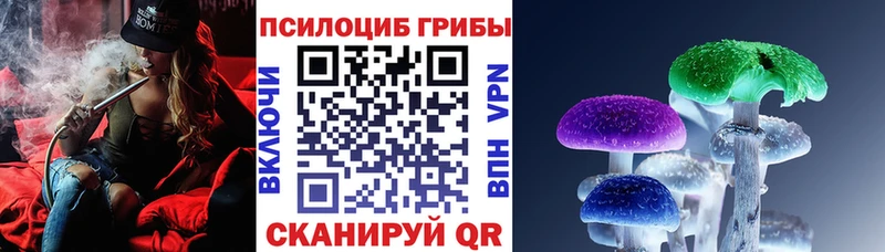 Галлюциногенные грибы Psilocybine cubensis хочу Эртиль